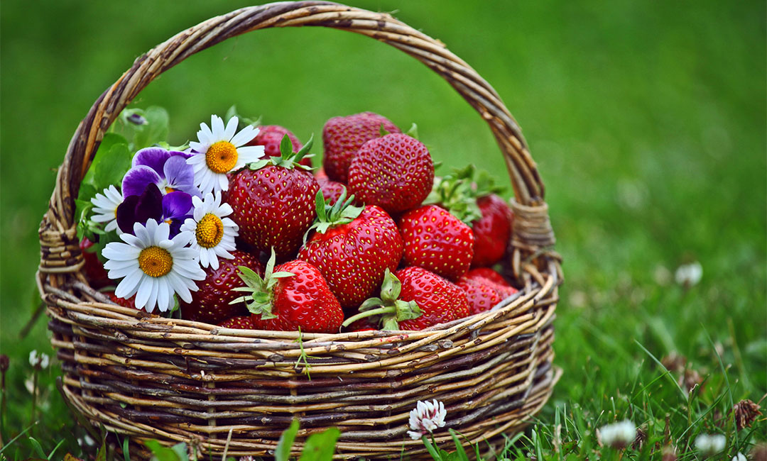 和田点呀点水果电商APP开发案例